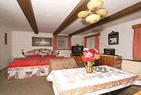 kombiniertes Wohn-/ Schlafzimmer - Foto zum Vergrößern bitte anklicken.